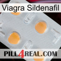 Viagra Sildenafil 24